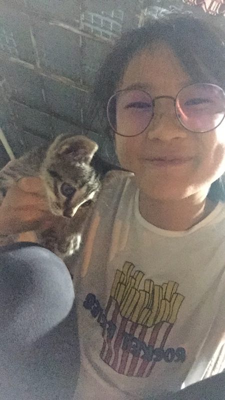 从天花板上跌下的小猫与主人李嘉雯的合照。