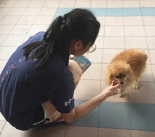 对主人来说，每日喂食和陪伴宠物玩耍已从责任变成一种习惯。