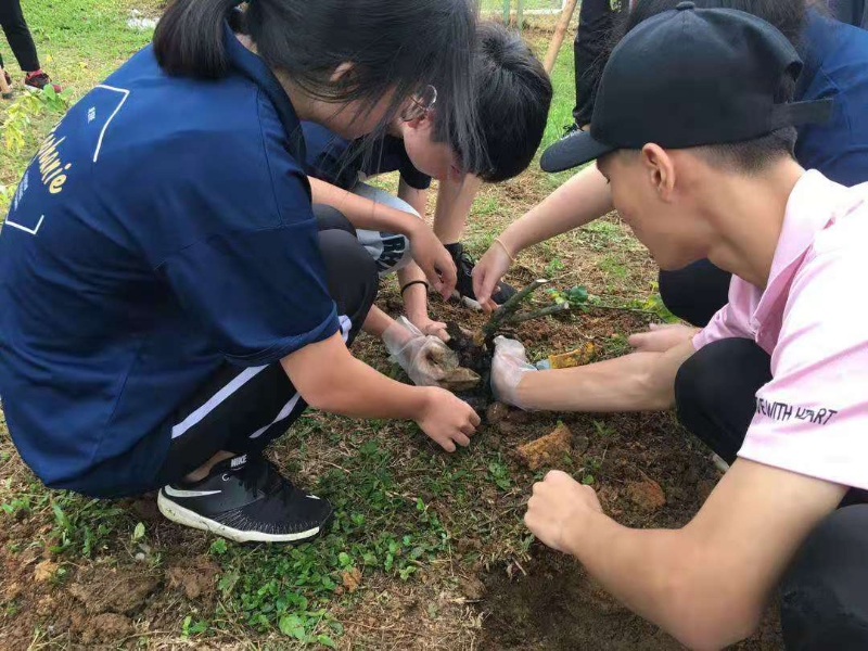 少狮会成员同心协力种树，打造绿色校园。