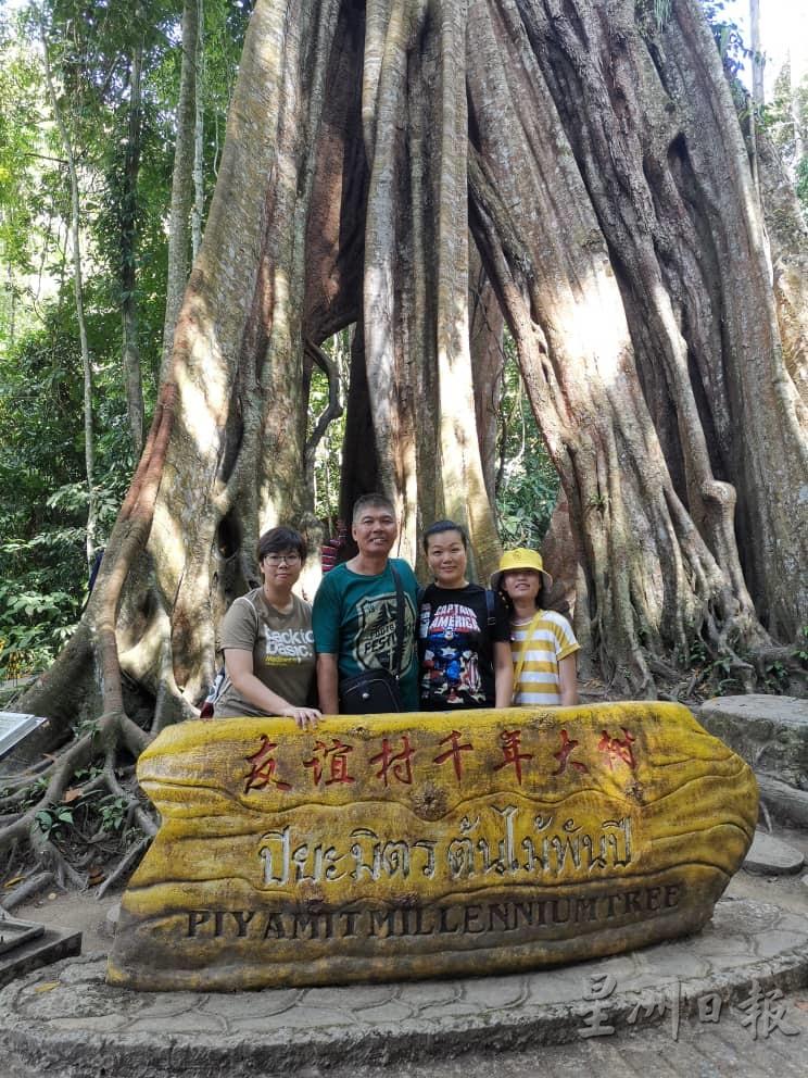 王祖儿