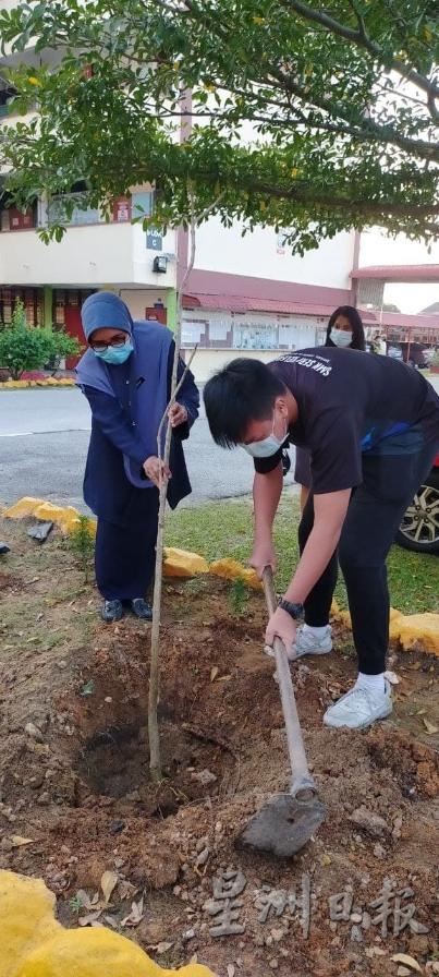 师生们不怕脏，一起携手种下属于升中的“樱花树”。