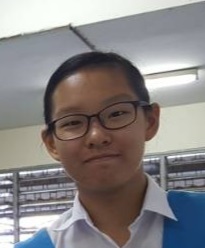何锦欣