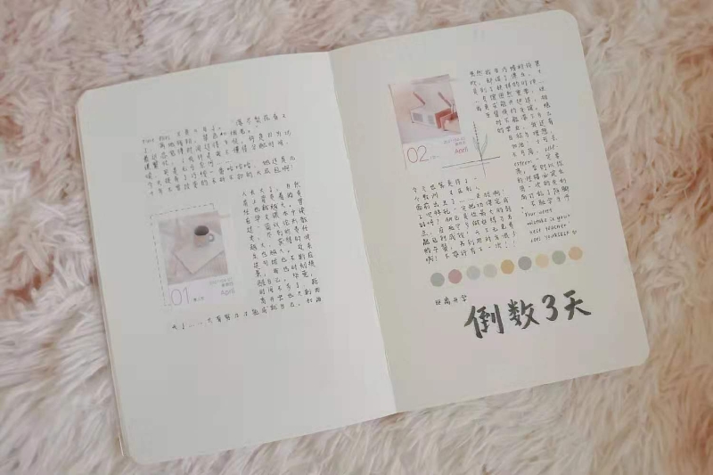 日记是手帐的一部分，也是涂雪凝心事的“垃圾桶”。